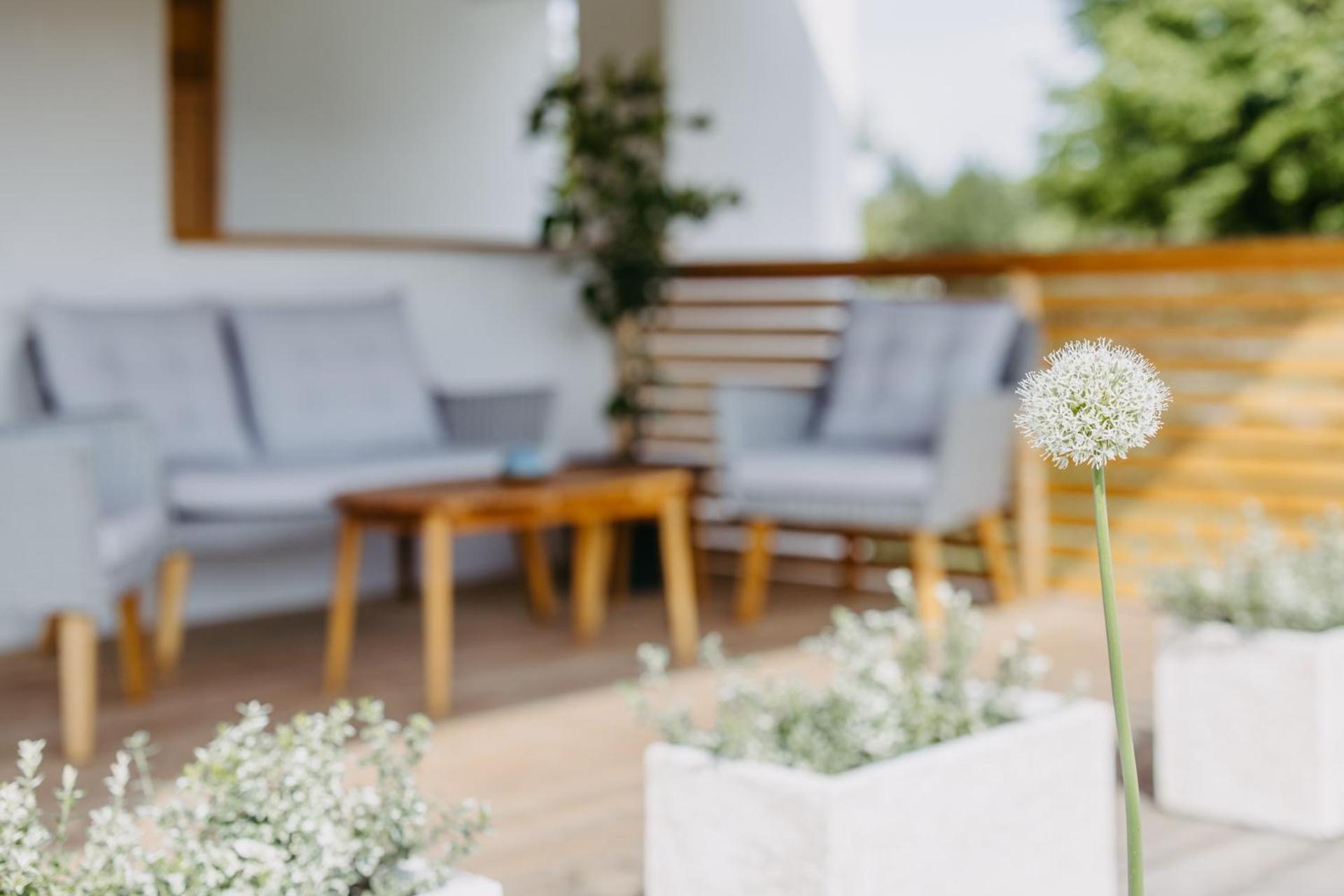 Urlaub Im Kellerstoeckl Dunst Apartment *