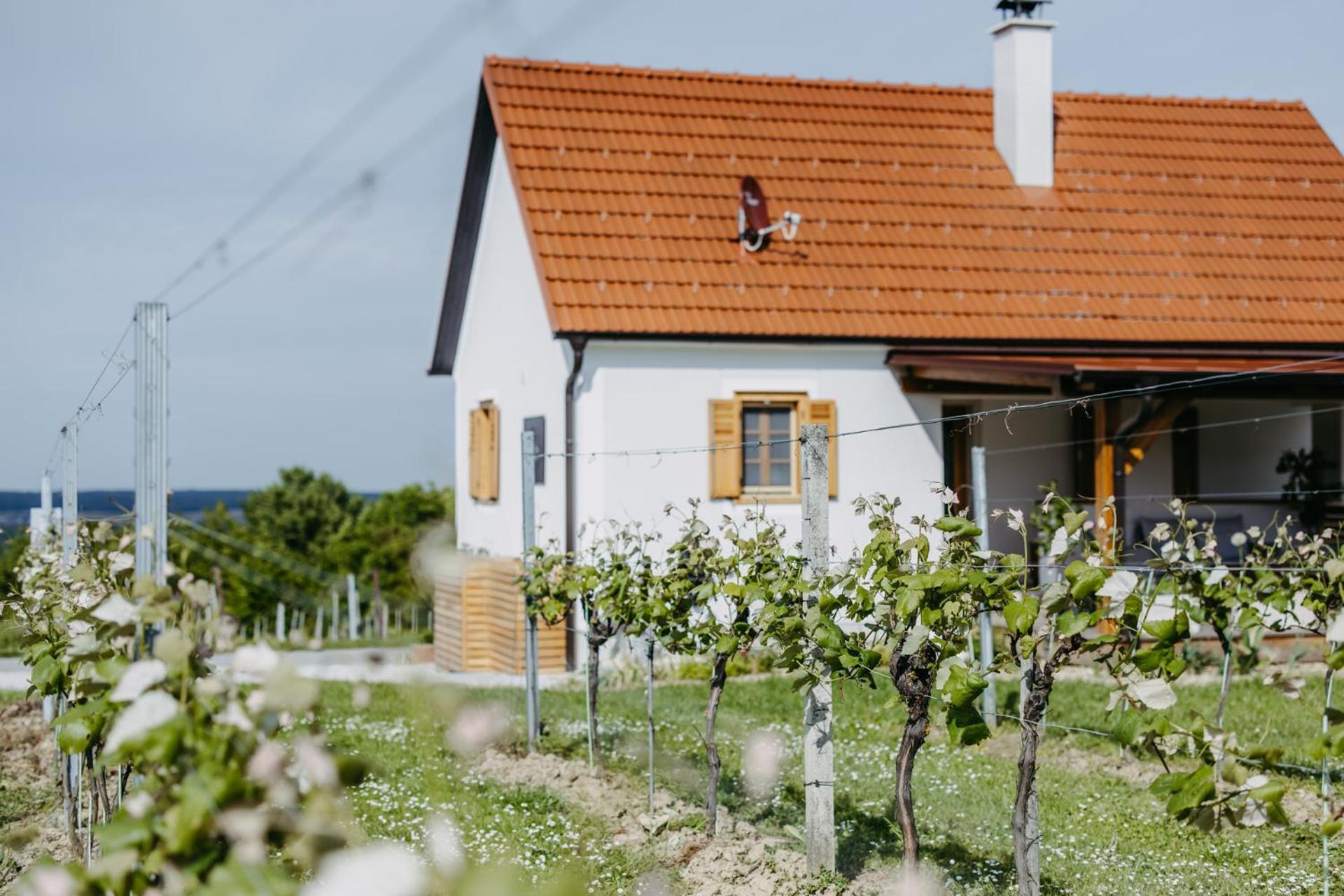 Urlaub Im Kellerstoeckl Dunst