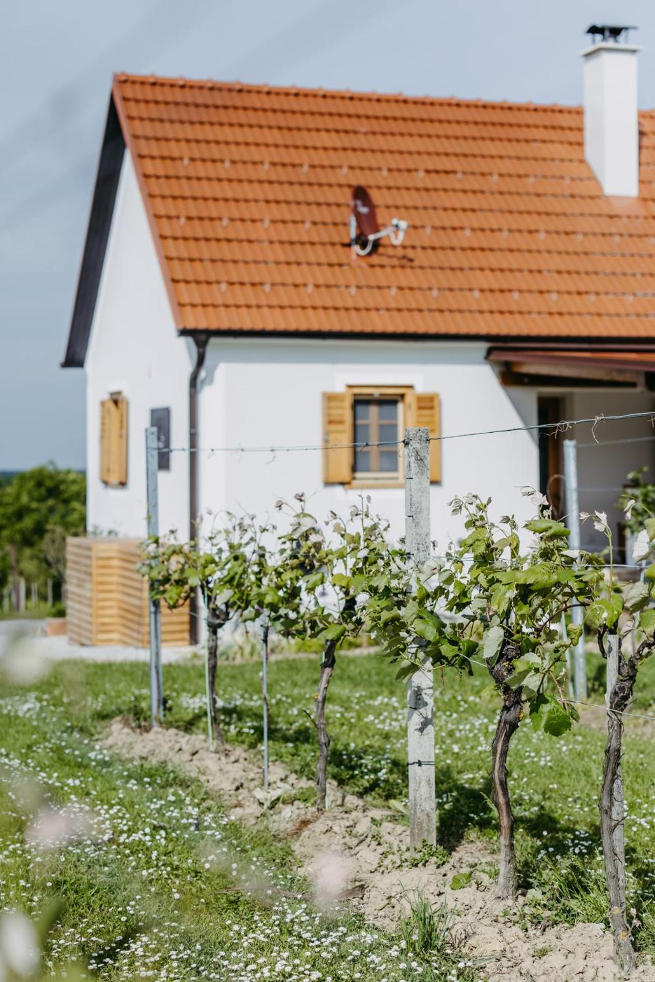 Urlaub Im Kellerstoeckl Dunst